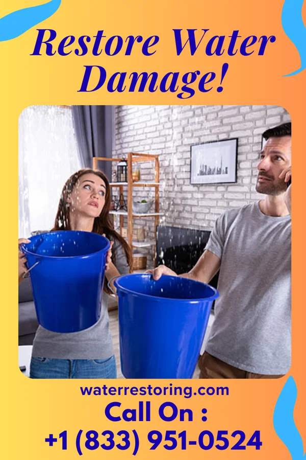 water restoration Expert Flood Co North Westminster