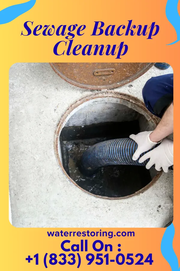 Sewage Backup Cleanup in North Westminster, VT