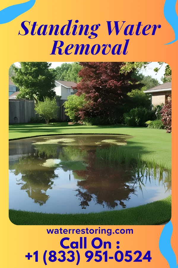 Standing Water Removal in North Westminster, VT